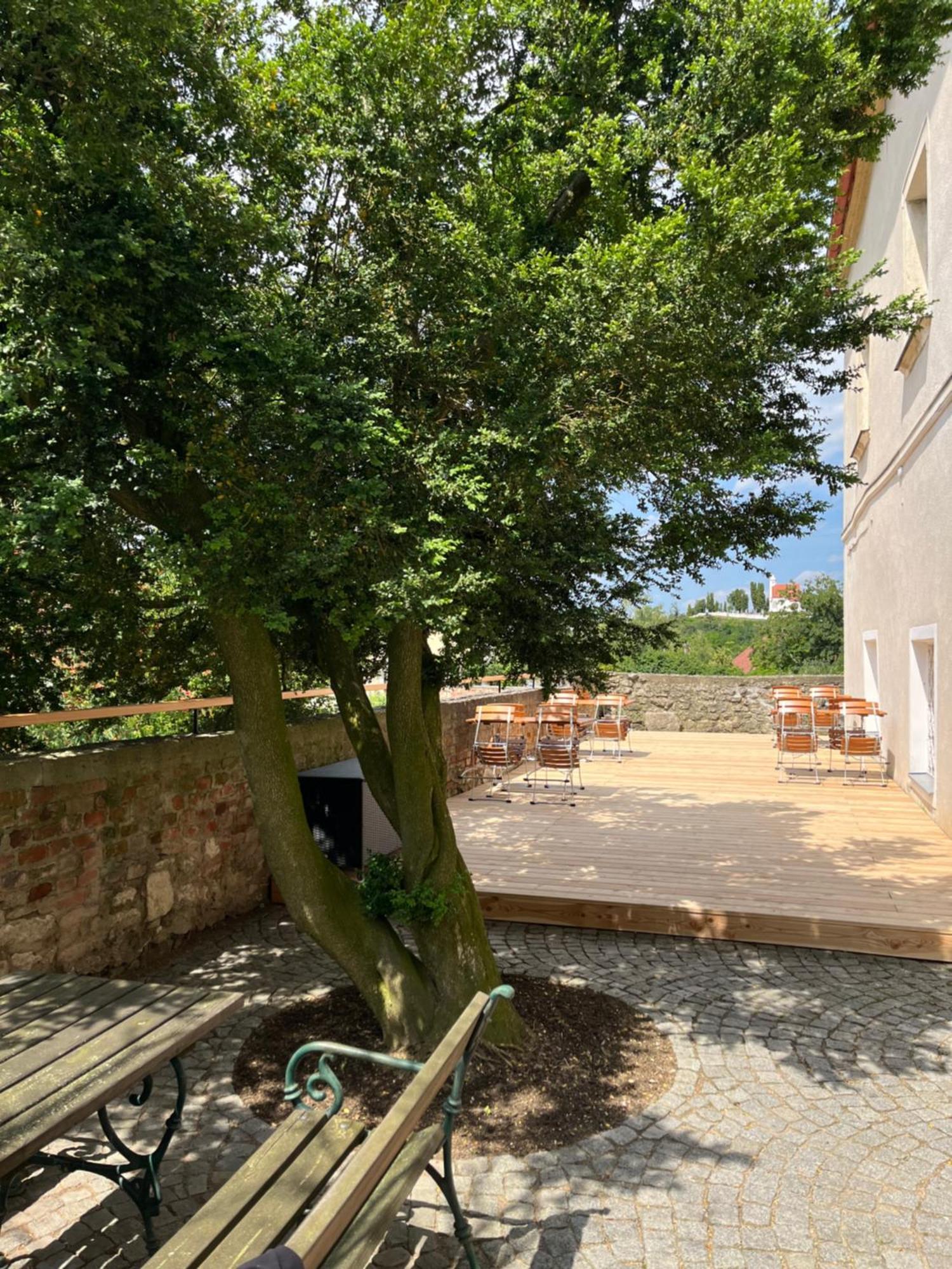 Schlosshotel Mailberg Bagian luar foto